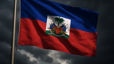 0c9d01d0 28e4 4b69 9e2b 2b4ea9895f6c