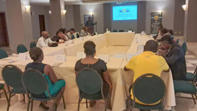 Whatsapp image 2025 08 16 at 23.33.23